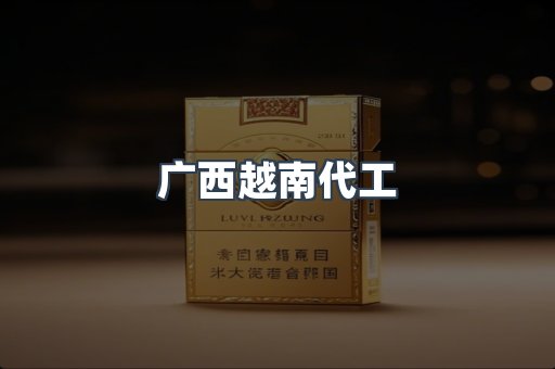 广西越南代工